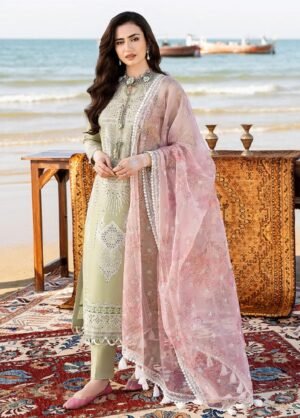 CH-10 Embroidered ChickenKari Lawn Suit With Printed Organza Dupatta