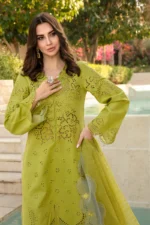 RR-2780 Luxury Lawn Stuff 3 Piece Full Chicken Kari Embroidered Suit With Cotton Net Embroidered Dupatta.